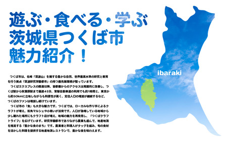 常陸牛 薄切り落し肉 500g 常陸牛A4・A5【茨城県共通返礼品】