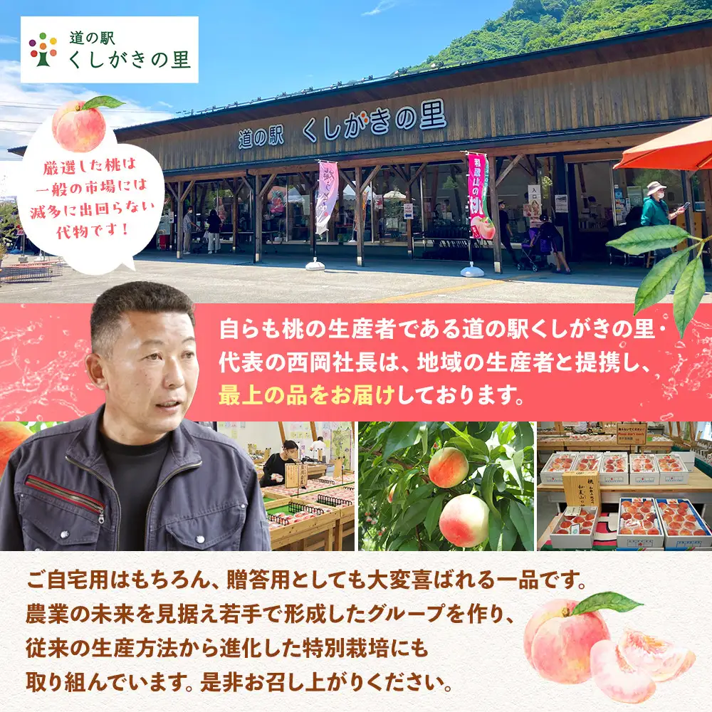 桃 極上秀品 食べきりやすい３個入 ［先行予約］［2027年6月下旬頃より順次発送］こだわり農家厳選！［KG1］