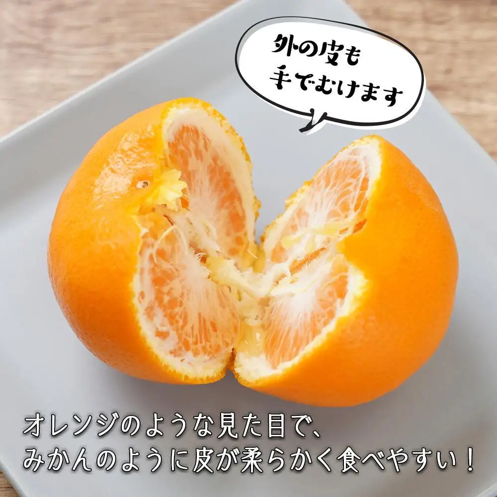はれひめ（ミカンの希少種） 秀品  約5ｋｇ（25個～30個入）［先行予約］［2026年12月中旬頃から発送］［KG3］