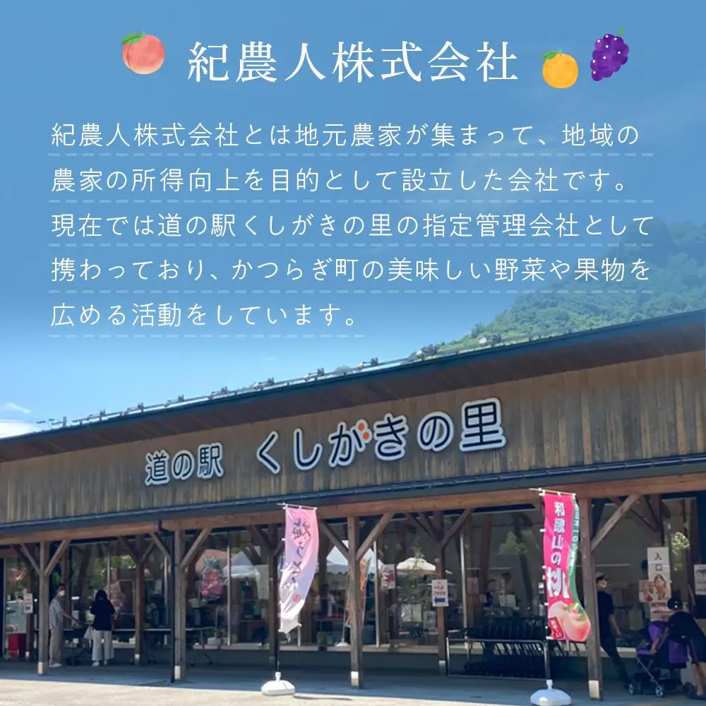 ［限定］不知火 樹上完熟 約2kg （5～6個入）［2027年2月末頃から3月末頃発送］［KG6］