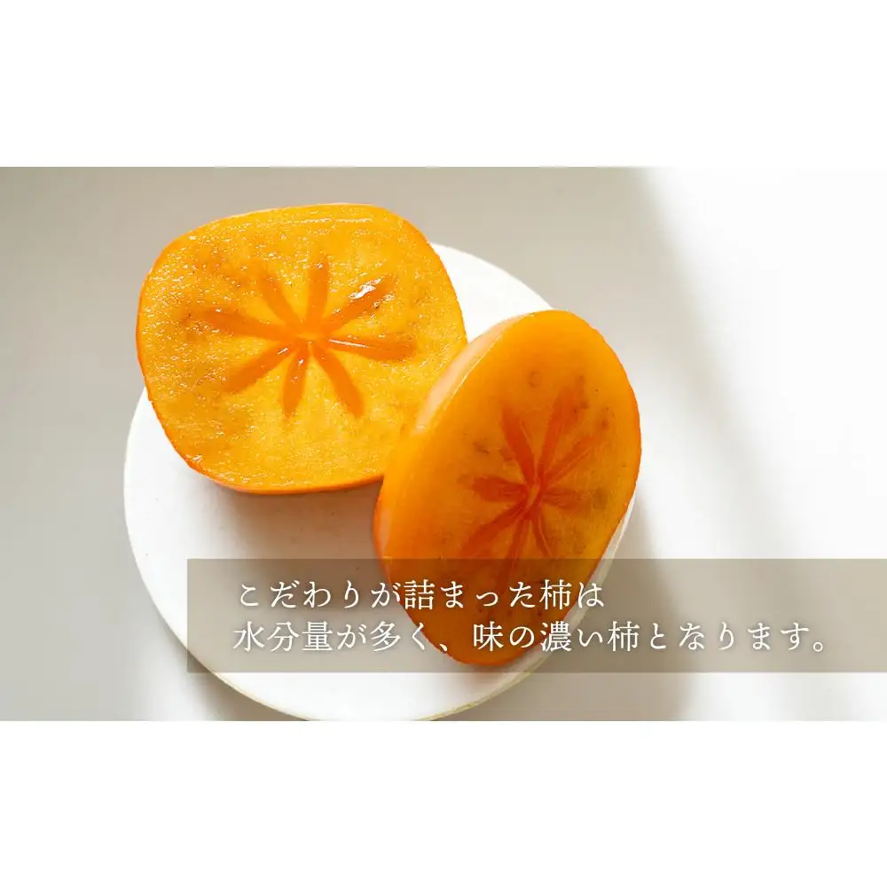 柿 種無し 赤秀品 超大玉 1.8kg 5～6個 ［先行予約］［2026年9月末頃から発送］［KG4］