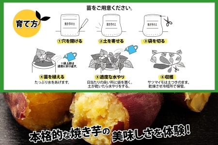 北海道 焼き芋の土 20L 1袋 培養土 やきいも 園芸 家庭菜園 プランター 袋のまま栽培 野菜  サツマイモ 畑 土づくり 野菜作り 初心者 採れたて 芋 送料無料 十勝 士幌町 【F17】