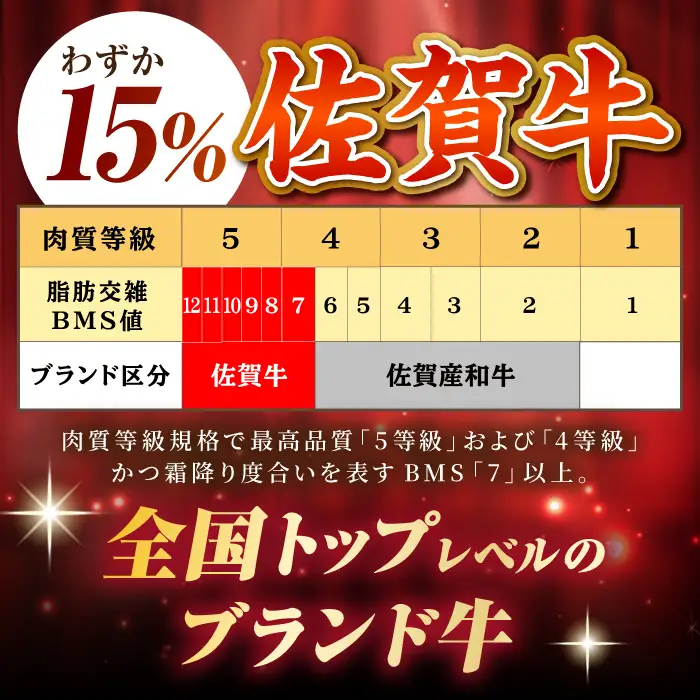 佐賀牛シャトーブリアン220g×1パック HCS107-F シャトーブリアン ステーキ ヒレ 和牛