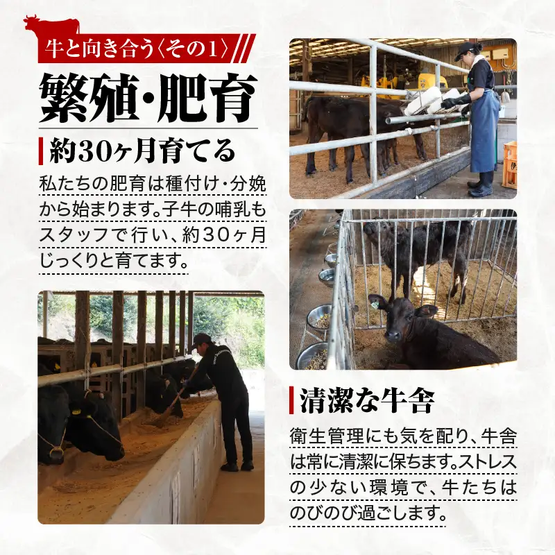 114-1 鹿児島県産 黒毛和牛 特上 切り落とし 1.5kg入 KN019-005 肉 牛 冷凍