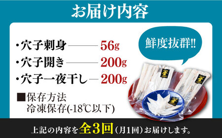 【全3回定期便】対馬産 活〆 穴子 ３点 セット A 新鮮 あなご 刺身 天ぷら 海鮮 一人前  [WAS006]