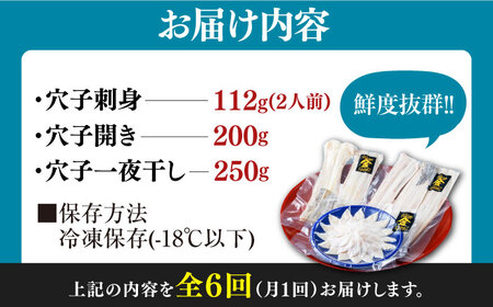 【全6回定期便】対馬産 活〆 穴子 ３点 セット B 新鮮 あなご 刺身 天ぷら 海鮮 二人前  [WAS010]