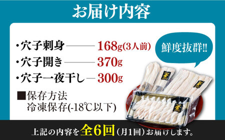 【全6回定期便】対馬産 活〆 穴子 ３点 セットC 新鮮 あなご 刺身 天ぷら 海鮮 三人前  [WAS013]