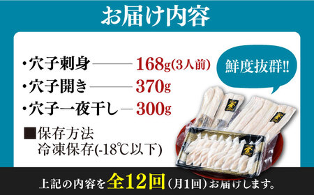 【全12回定期便】対馬産 活〆 穴子 ３点 セットC 新鮮 あなご 刺身 天ぷら 海鮮 三人前  [WAS014]