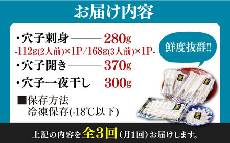 【全3回定期便】対馬産 活〆 穴子 ３点 セット D 新鮮 あなご 刺身 天ぷら 海鮮 5人前  [WAS015]