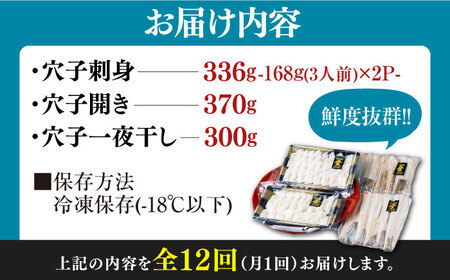【全12回定期便】対馬産 活〆 穴子 ３点 セット E 新鮮 あなご 刺身 天ぷら 海鮮 六人前  [WAS020]