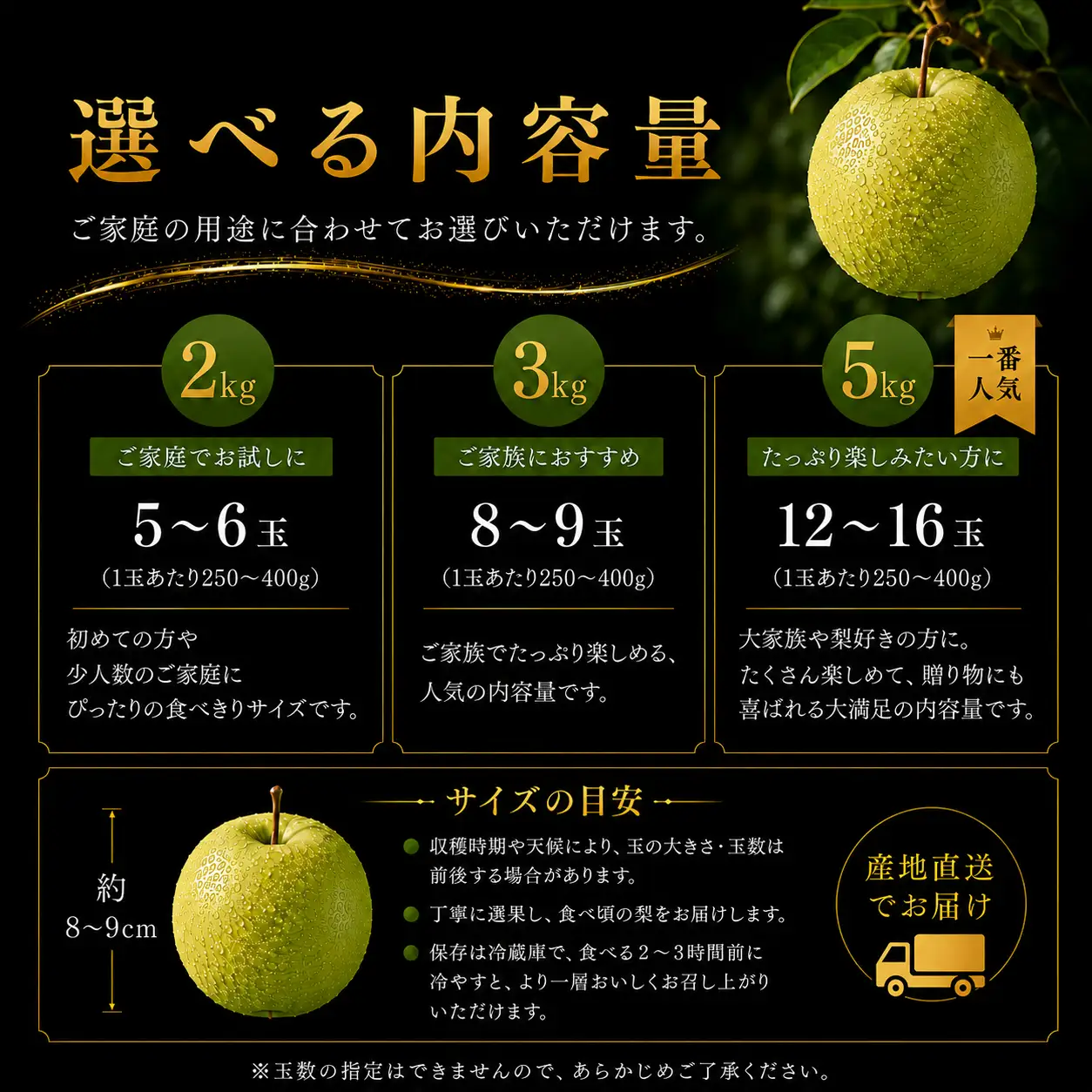 【期間限定】梨 なし 二十世紀 2kg 鳥取県 湯梨浜町 果物 フルーツ 特産品 8月中旬～9月上旬頃順次発送 先行予約 JA 東郷梨選果場 新鮮 人気 おすすめ 送料無料 選べる 内容量  くだもの フルーツ さっぱり さわやか ジューシー 定番 贈答 進物 6M