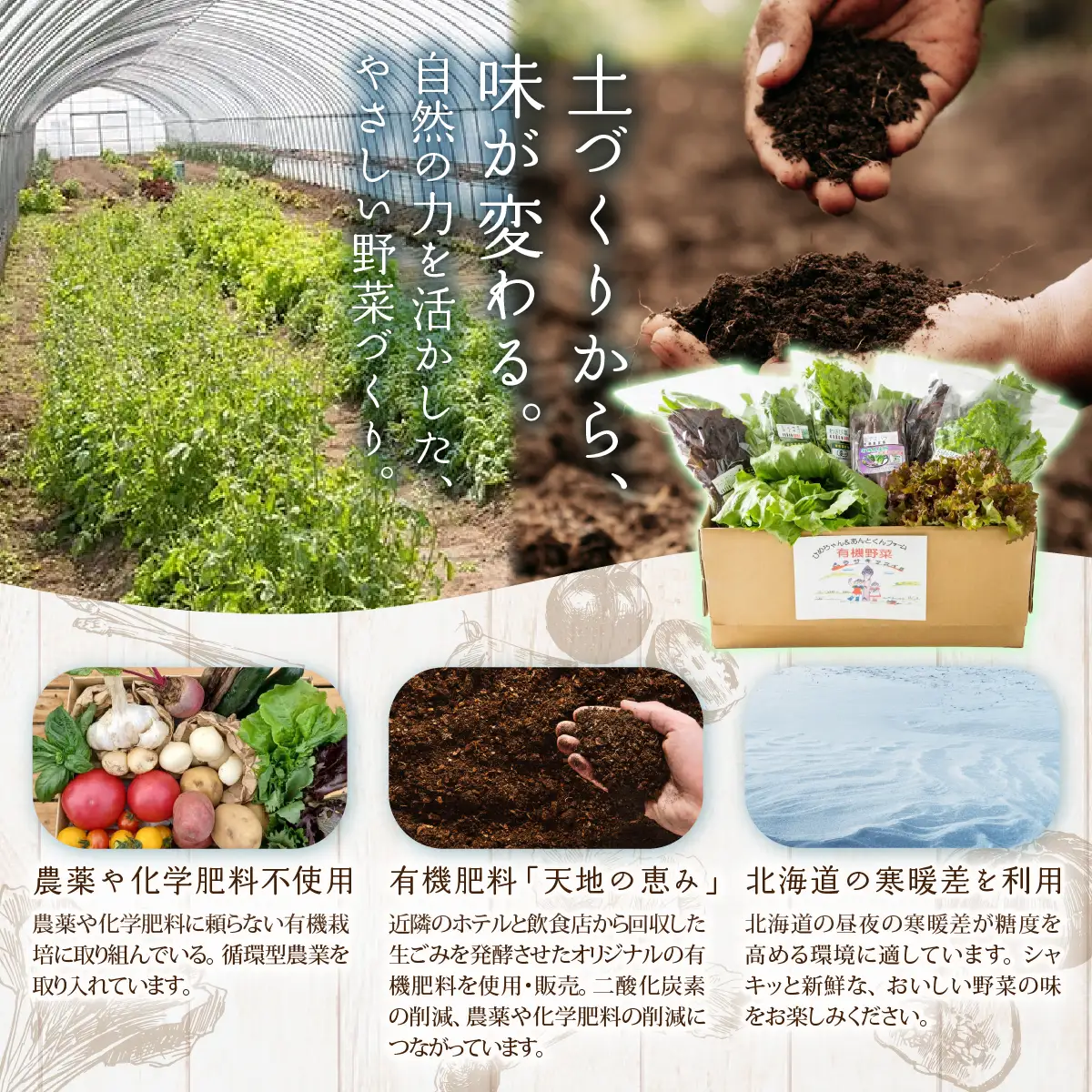【JAS認定有機紫アスパラ】S～Lサイズ紙箱入1kg HOKB001