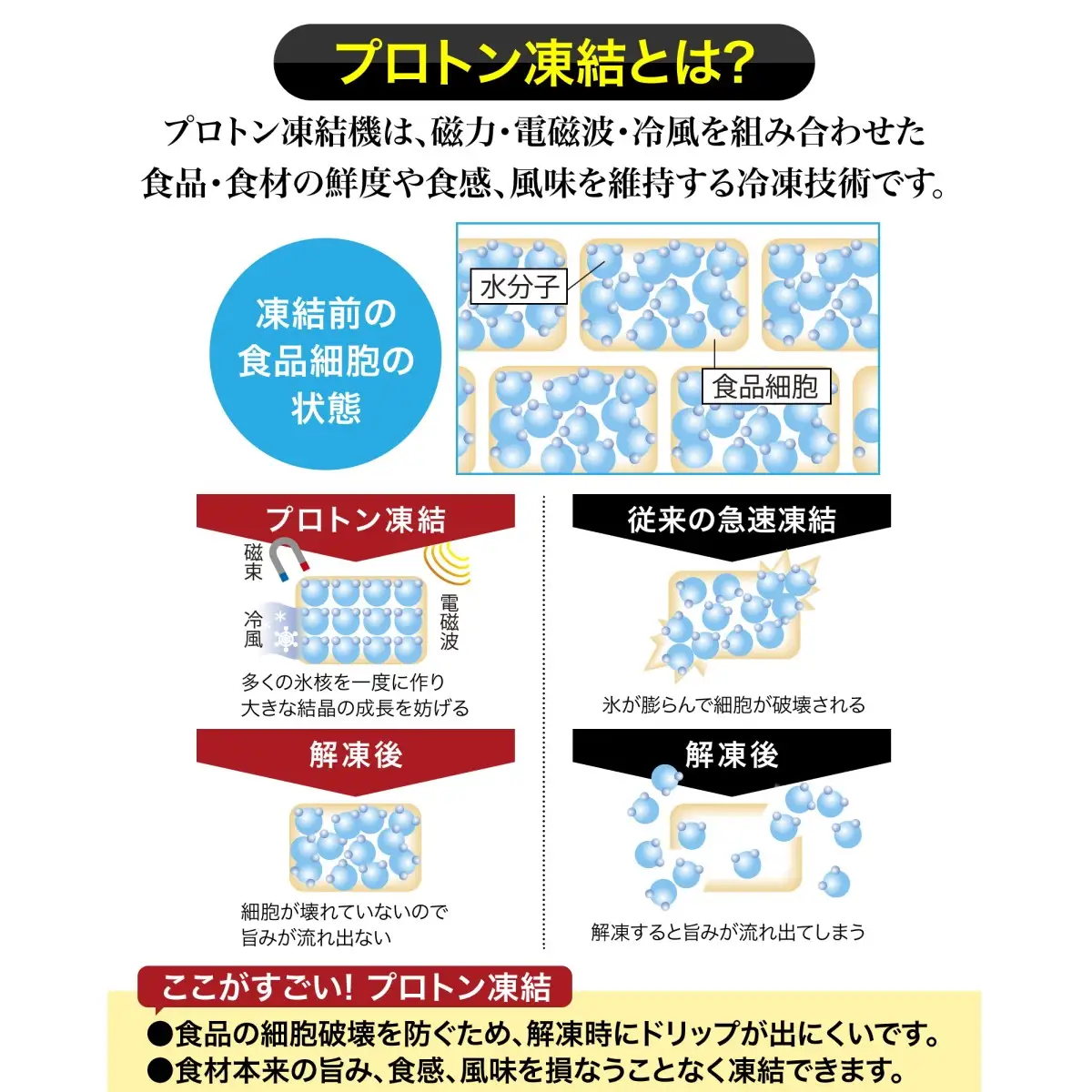 【道水 DOHSUI】プロトン凍結 北海道産 お刺身用 冷凍ホタテ貝柱1kg 産地直送 HOKD005