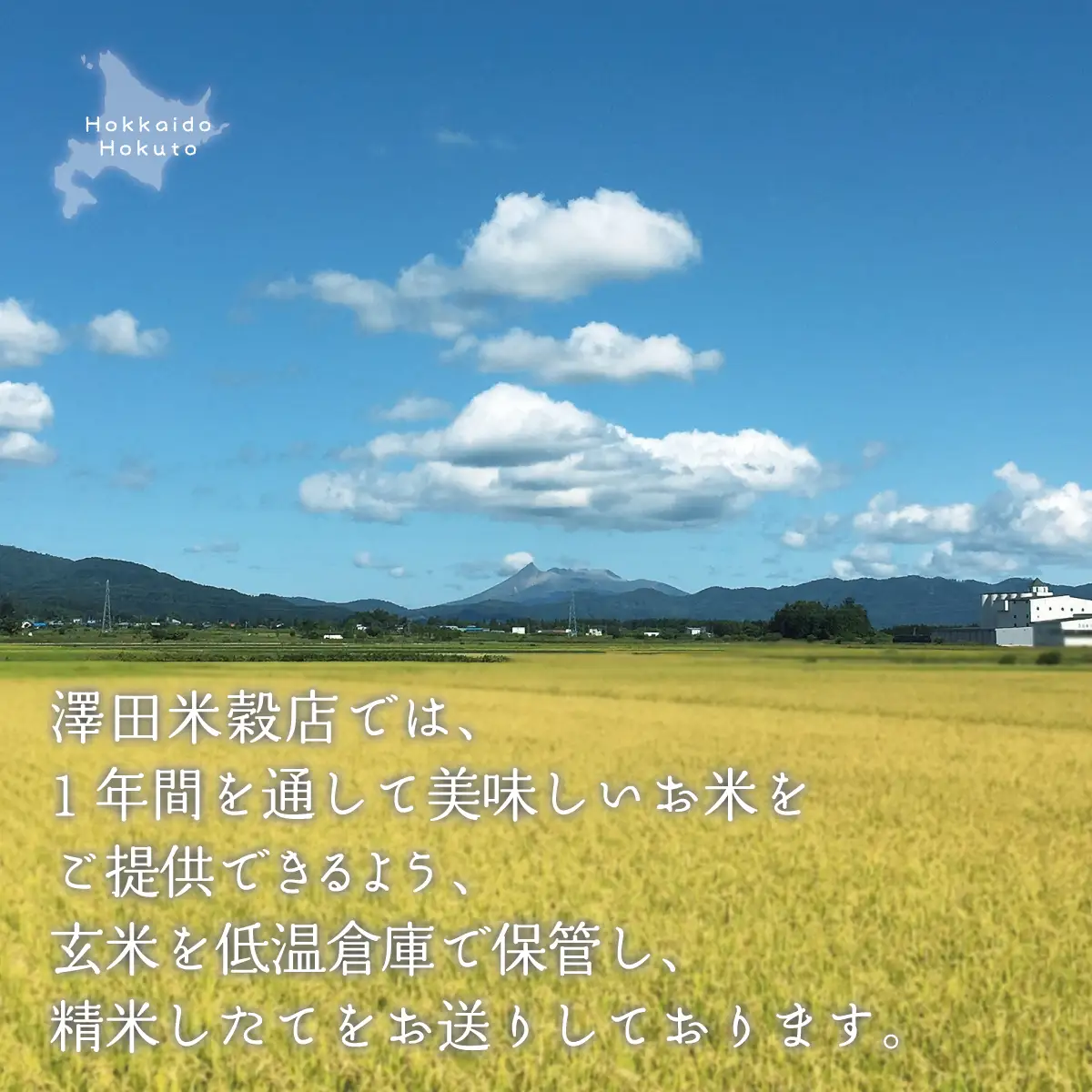 【数量限定】【令和7年産】[北斗市産特別栽培米]ゆめぴりか・ななつぼし・ふっくりんこ各2kg　精米したてをお届け  | 「ザ！鉄腕！DASH！！」で紹介！ | 全国で活躍中の“ものまね女王”荒牧陽子さんも試食！ | HOKH003