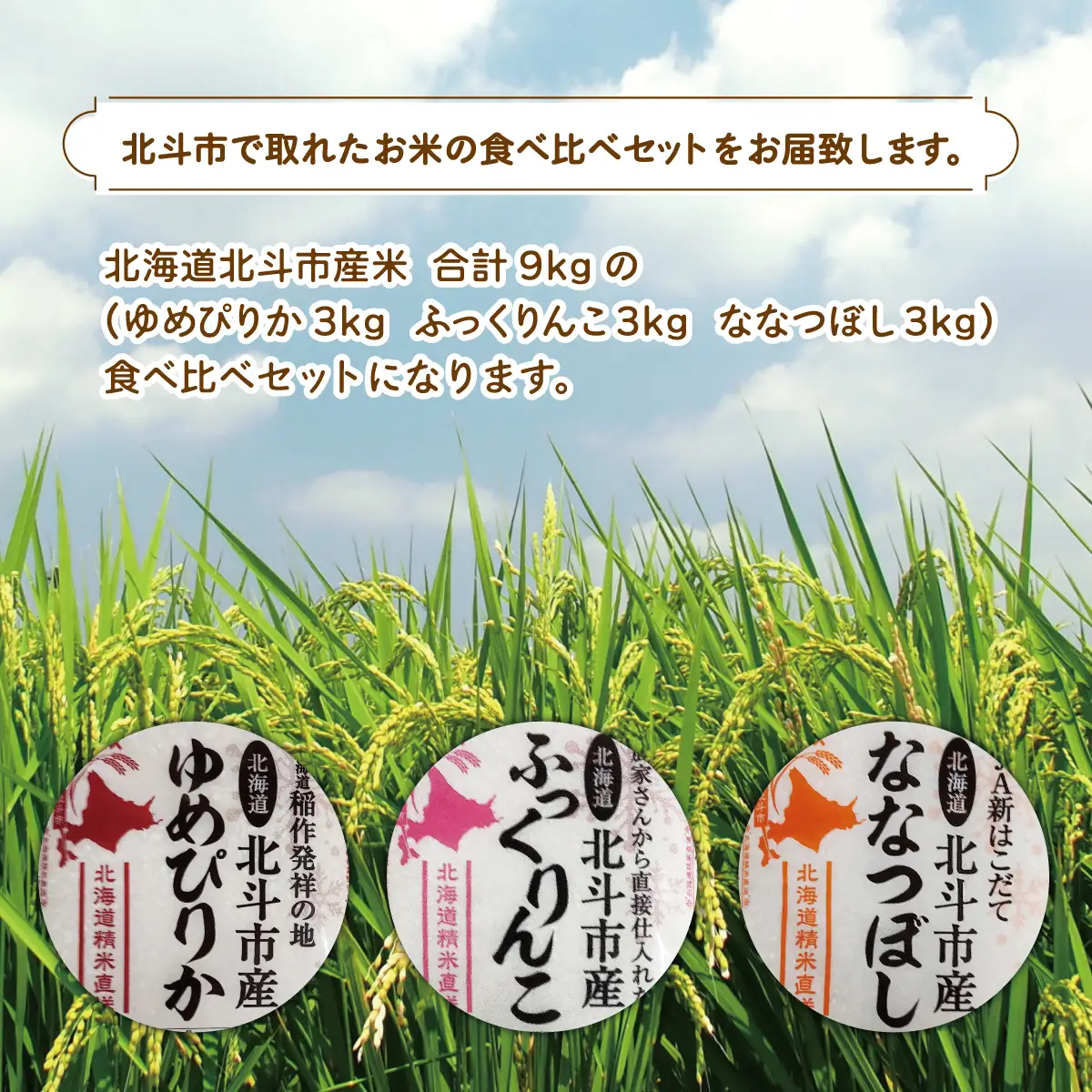 北海道北斗市産米食べ比べセット3kg×3 HOKN001 
