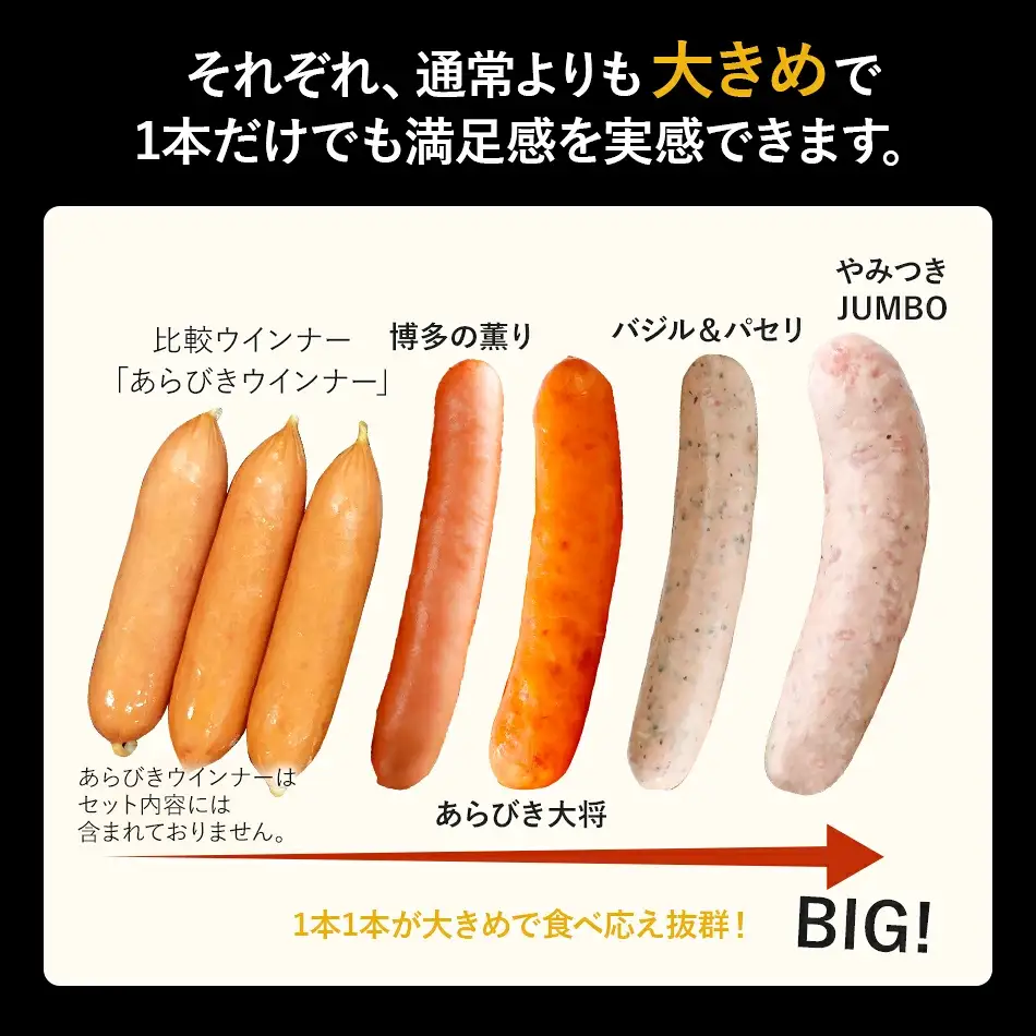 訳あり ソーセージ福袋 ウインナー 5種セット 合計4.5kg  ソーセージ