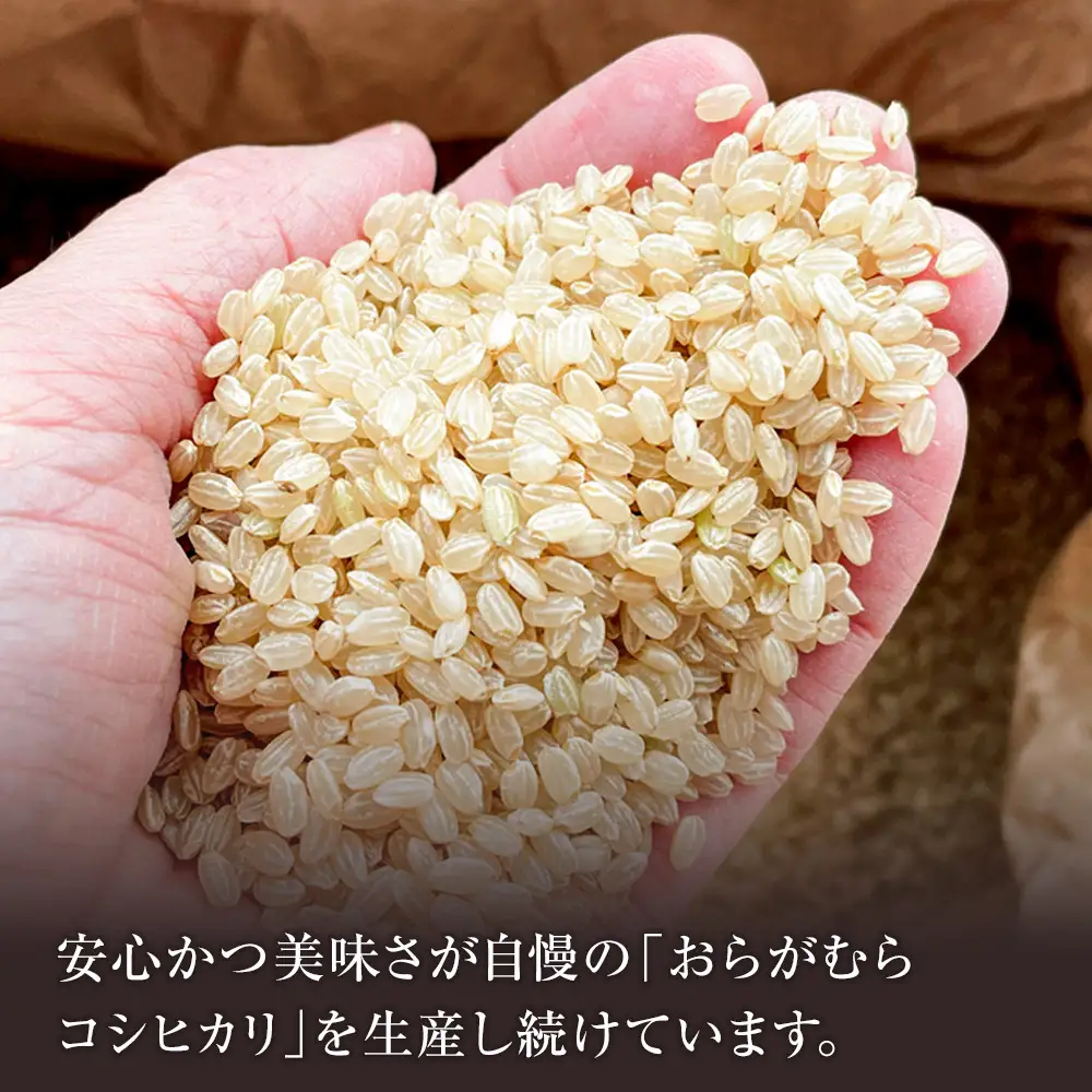 【予約受付】【令和８年米】長野県宮田村産コシヒカリ／玄米／20kg・36,000円／令和９年2月配送（ コシヒカリ ）
