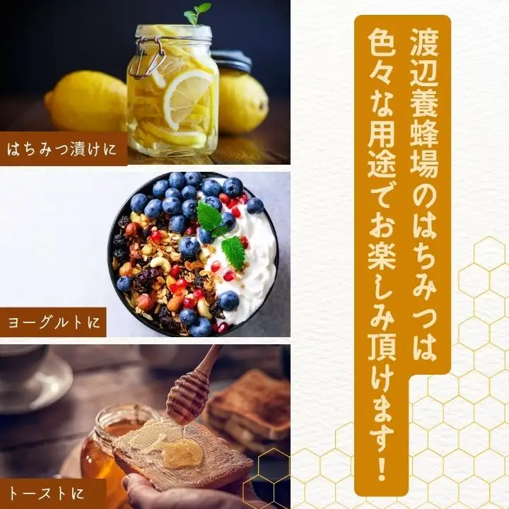 自家採り国産 天然熟成アカシヤ巣蜜  | ハチミツ 蜂蜜 【株式会社渡辺養蜂場】