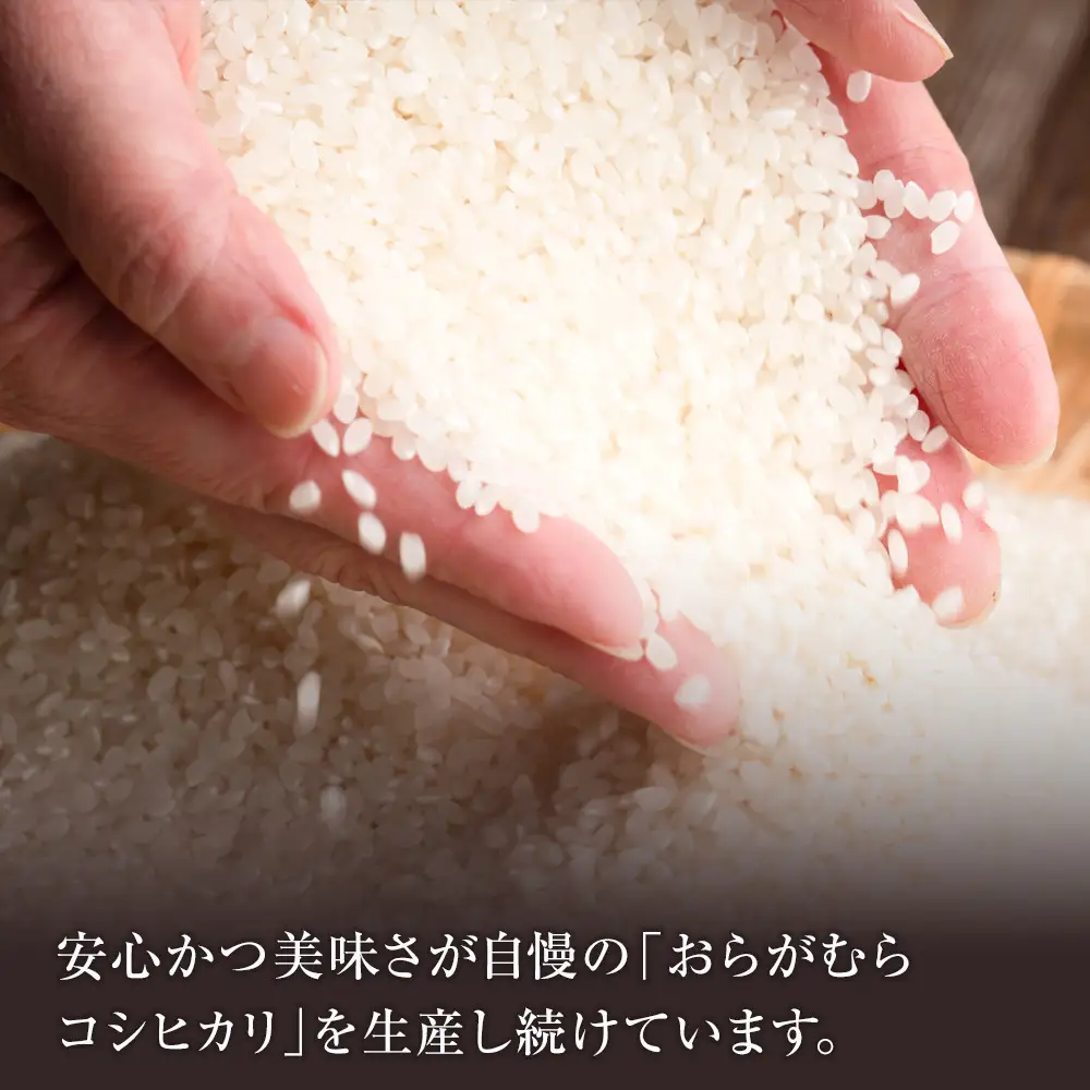 【予約受付】【令和８年米】長野県宮田村産コシヒカリ／精米／30kg・60,000円／令和９年1月配送