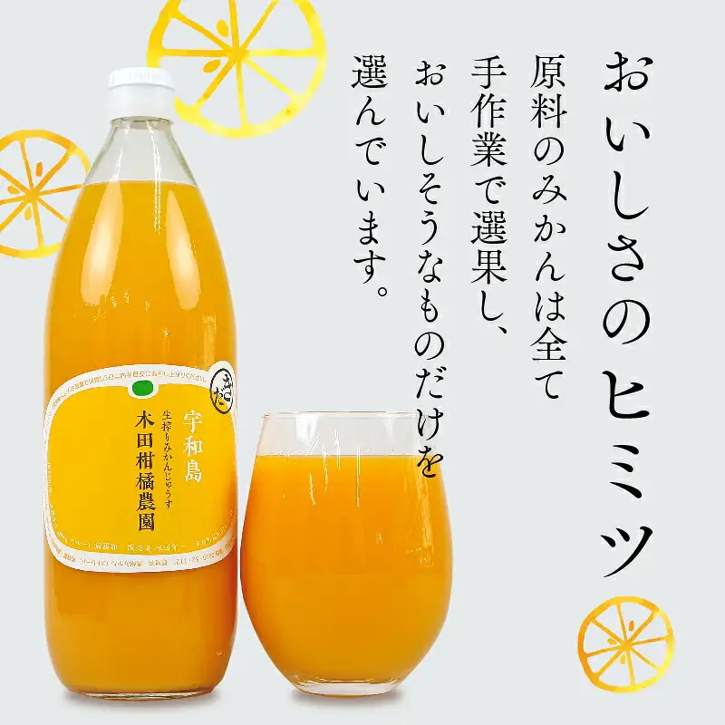 みかんジュース 本物の100％みかんジュース 1,000ml × 12本 木田柑橘農園 H048-185003