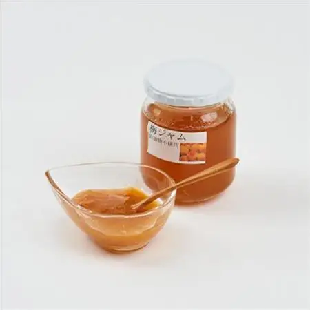 姫工房の梅ジャム_惣菜・加工品 ジャム 缶詰・瓶詰 _【1267639】
