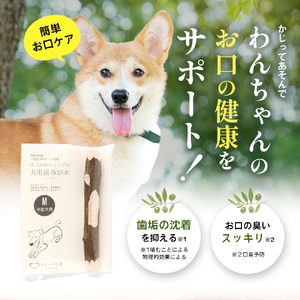 【 小豆島 】 小豆島産 オリーブの犬用はみが木 M(中型犬用) 1本入 ペット 健康 犬 いぬ イヌ 歯磨き 歯みがき ハミガキ オリーブ オリーブ木 犬用 中型犬 香川 香川県 土庄 土庄町