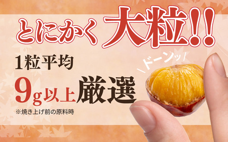 【先行予約】天津甘栗 2.5kg / 甘栗