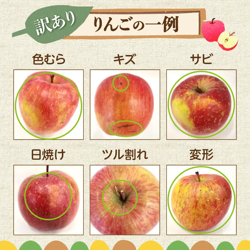 【先行受付：2026年11月下旬以降発送分】訳あり りんご（ふじ）3kg_Y010-0660