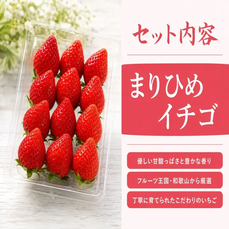 紀州和歌山ブランドいちご「まりひめ」約250g×4P 【2027年3月上旬頃〜3月下旬頃に順次発送】【UT39】【uot758B】