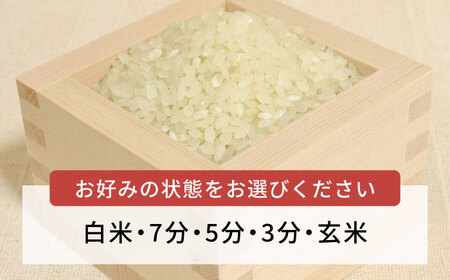 糸島産 ミルキークイーン 10kg  糸島市／糸島王丸農園（ 谷口汰一 ）【いとしまごころ】 米 [AAZ018]