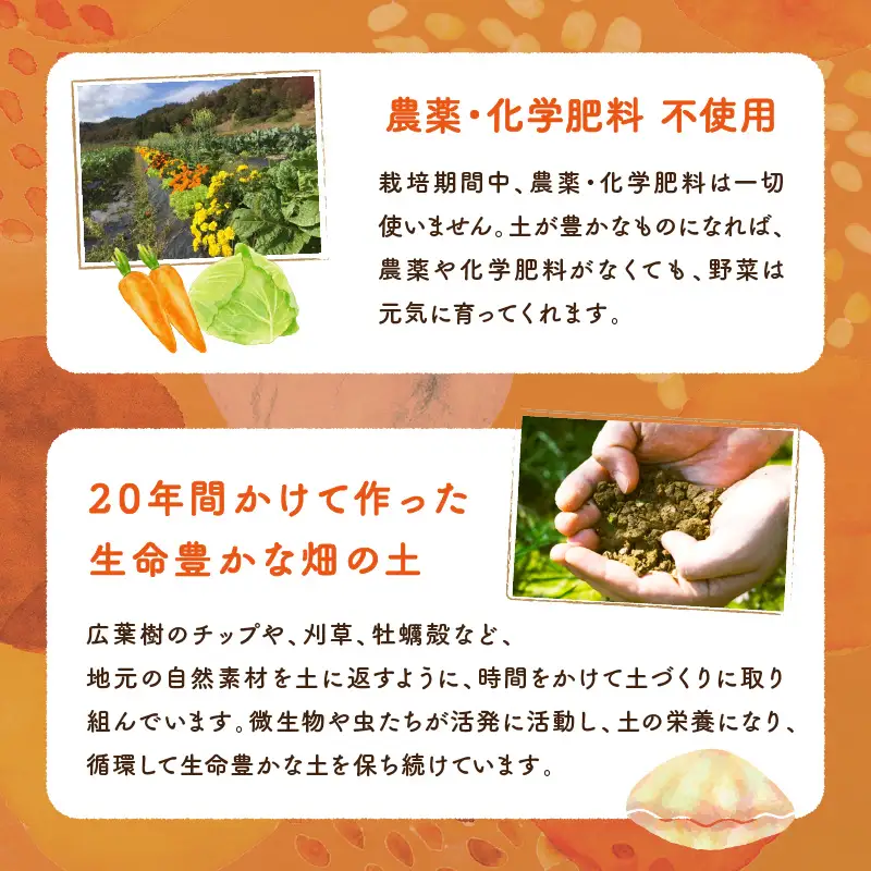 【数量限定】自然栽培野菜セット（団らん）