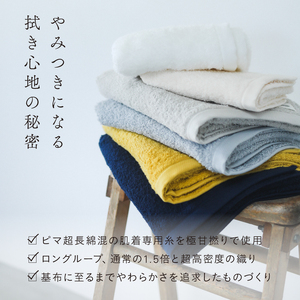 （今治タオルブランド認定品）SALA 肌着のラージフェイスタオル 2枚セット スカイグレー やわらか きめ細やか 水布人舎 [I001280SGY]