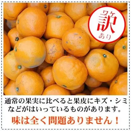訳あり・ご家庭用　早生みかん　約10kg(農家お助け2S～4L規格)【2026年12月中旬～発送】【配送不可地域：離島・北海道・沖縄県】【1491583】