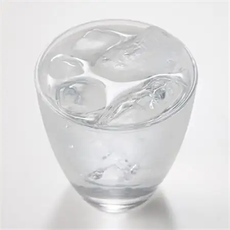 軽井沢産じゃがいもを使った アクアヴィット「とりのす」 700ml×2本セット_酒・アルコール リキュール・洋酒  _【1491489】