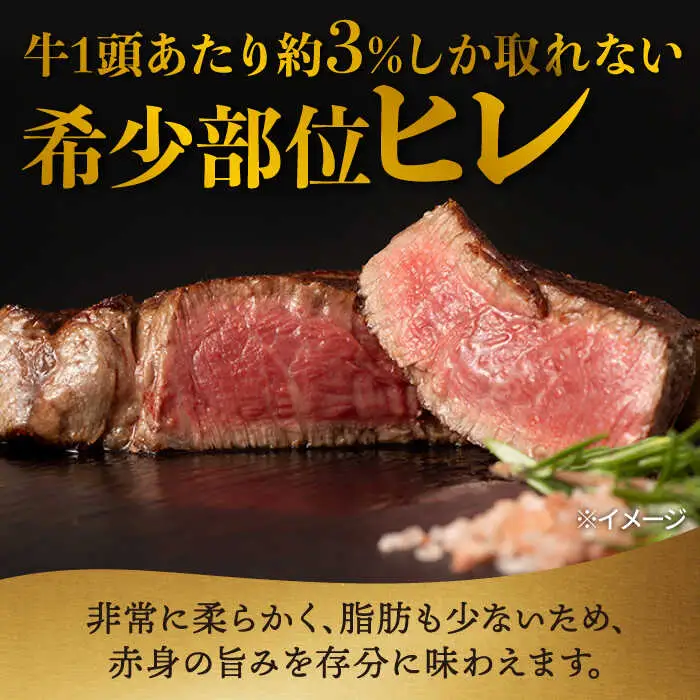 【6回定期便】ヒレ・サーロイン ステーキ2種食べ比べセット 長崎和牛 （400g/回） 【肉のマルシン】 [FG44]
