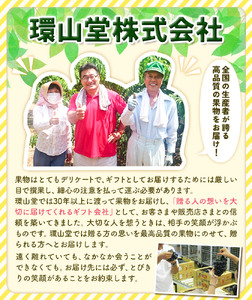 新高梨 5～6玉 計 約2.5kg 環山堂株式会社