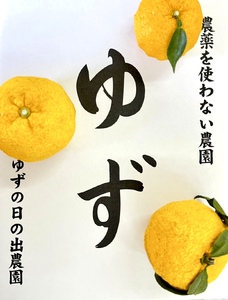 【2026年発送分】特選ゆずポン酢2本とゆず中玉7～9個セット　ゆず 柚子 ユズ 柚 生ユズ 生ゆず