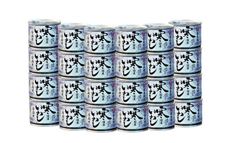 【6ヶ月定期便】寒いわし 醤油煮  合計144缶 24缶×6回 イワシ 鰯 いわし 缶詰 缶詰め