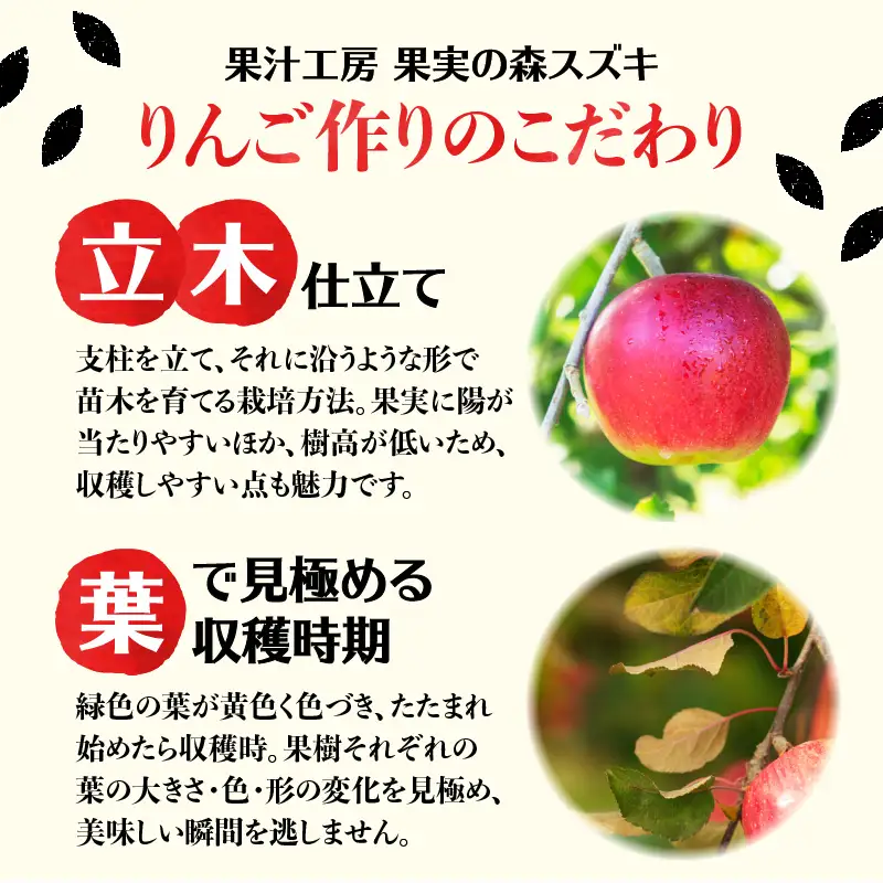 大江の恵 山ぶどう3本ギフト(各500ml) 003-024