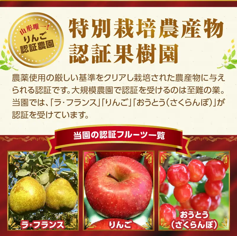 《先行受付》特別栽培 大玉 ラフランス 約3kg・秀品4L～3L 【2026年11月上旬頃～発送予定】 025-016