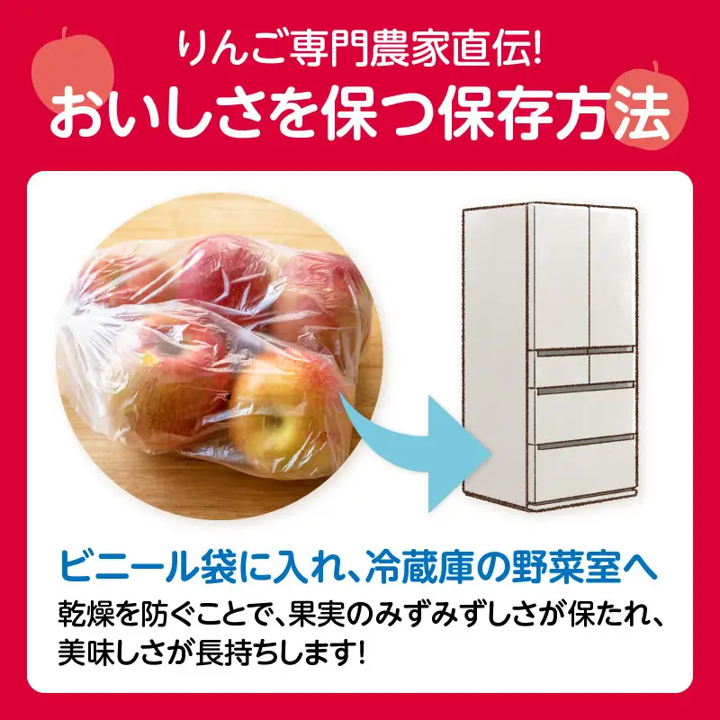 《先行受付》贈答規格「サンふじ」「はるか」約3kg詰合せ（特秀～秀）【2026年12月上旬～発送予定】【大江町産・山形りんご・りんご専科 清野】 015-064