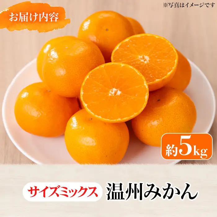 ＜先行予約！2026年12月上旬以降順次発送予定＞香川県産 温州みかん(約5kg/サイズミックス) 国産 果物 フルーツ 蜜柑 傷あり 柑橘【man119-A】【Aglio nero】