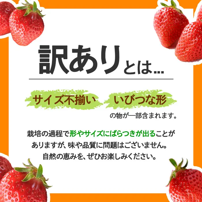 ＜先行予約！2027年3月下旬以降順次発送予定＞＜訳あり＞香川県産 さぬきひめいちご(約500g) 国産 果物 苺 イチゴ フルーツ 産地直送 冷蔵便 【man106-A】【Aglio nero】