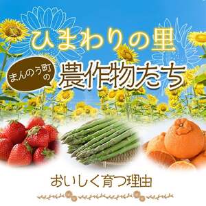 ＜期間限定！2026年3月上旬以降順次発送予定＞アスパラガス 食べ比べ (約500g/グリーン・約300g/ホワイト) 香川県 国産 野菜 アスパラ 新鮮 冷蔵便 【man085】【Aglio nero】