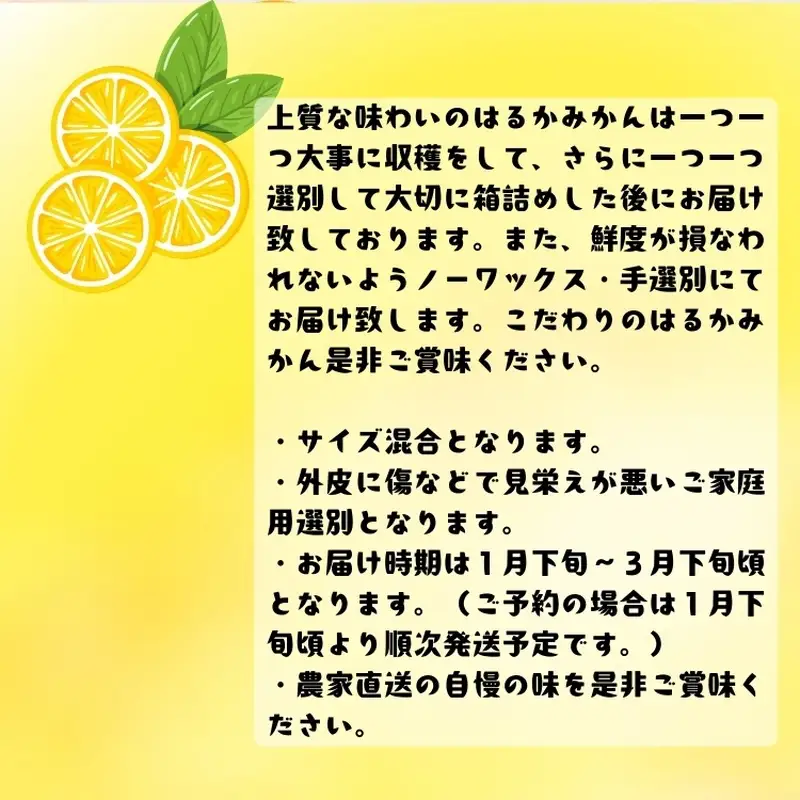 【先行予約】【人気柑橘】 有田育ちの はるか みかん（訳あり 家庭用）5kg+200g(痛み補償分) ※2027年1月下旬～3月下旬に順次発送 ※着日指定不可【ard156B】