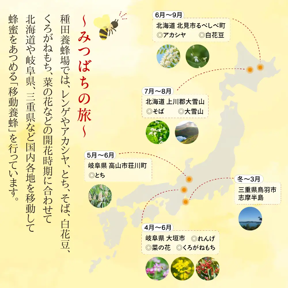 はちみつ くろがねもち 1200g 純粋国産｜はちみつ