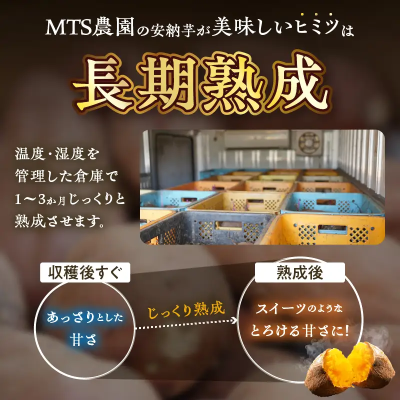 ≪先行予約≫都農町産安納芋(計5kg) 野菜 芋 イモ 国産_T016-0017