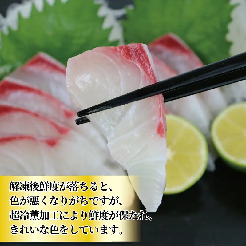 カンパチ 訳あり 超冷薫 加工 カンパチ ブロック カット 1.2kg オンスイ 間八 新鮮 刺身 お刺身 お刺し身 刺し身 しゃぶしゃぶ 漬け丼 タタキ アレンジ 魚介 人気 海鮮 海産物 急速冷凍 特許技術 養殖 真空 パック 加工品 国産 愛媛 宇和島 D020-159011