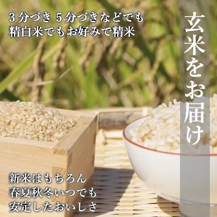 【令和8年度新米】先行予約受付 数量限定 玄米(特別栽培農産物)元気つくし 5kg×2袋 (計10kg)
