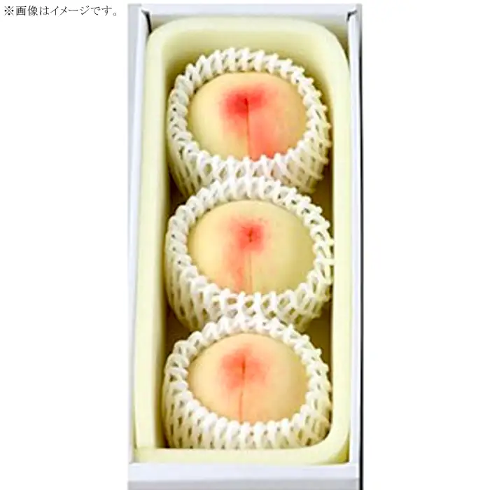 岡山の白桃（晩生種） 大玉3玉（約900g）【27年7月下旬以降に順次発送】